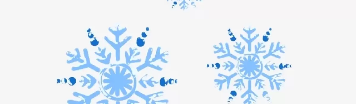 How to help your garden grow when it is freezing outside.