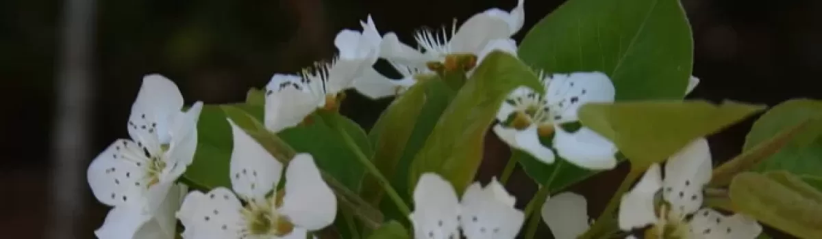 Signs of Spring!