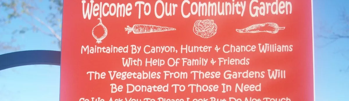 Katie’s Krops Guest Blog from Hunter, Canyon & Chance
