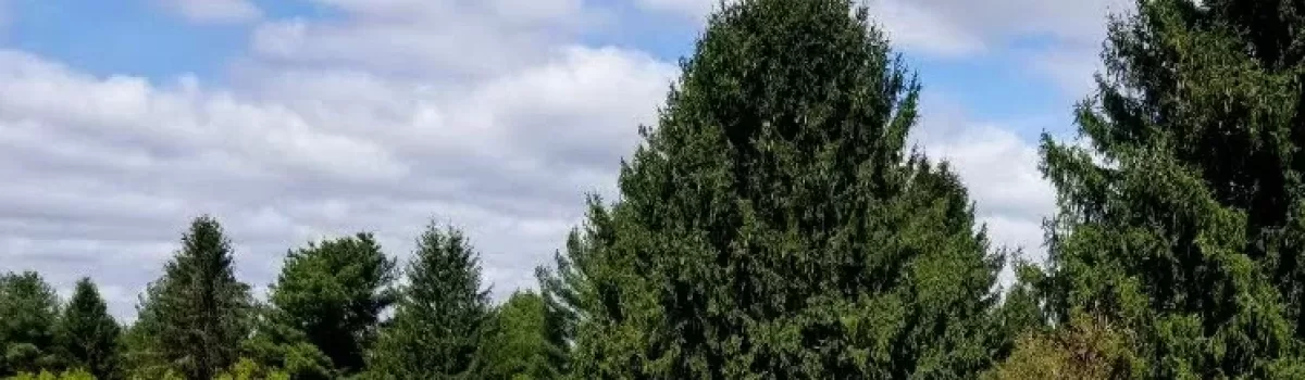 Jacquelyn – Pennsylvania