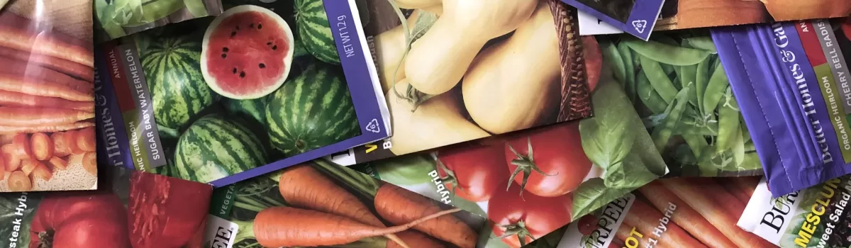 Help Us Launch The Seeds of Change in 2021~ Sponsor Needed~