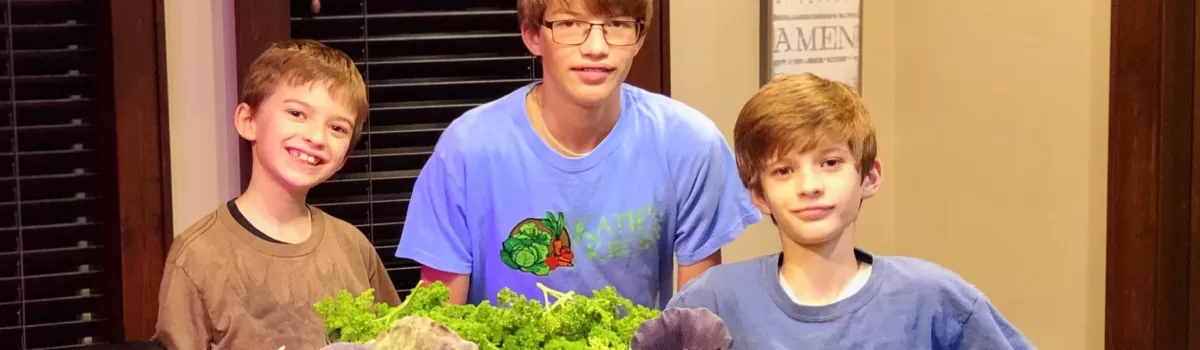 Anderson, Coleman, Lewis ~ Kansas