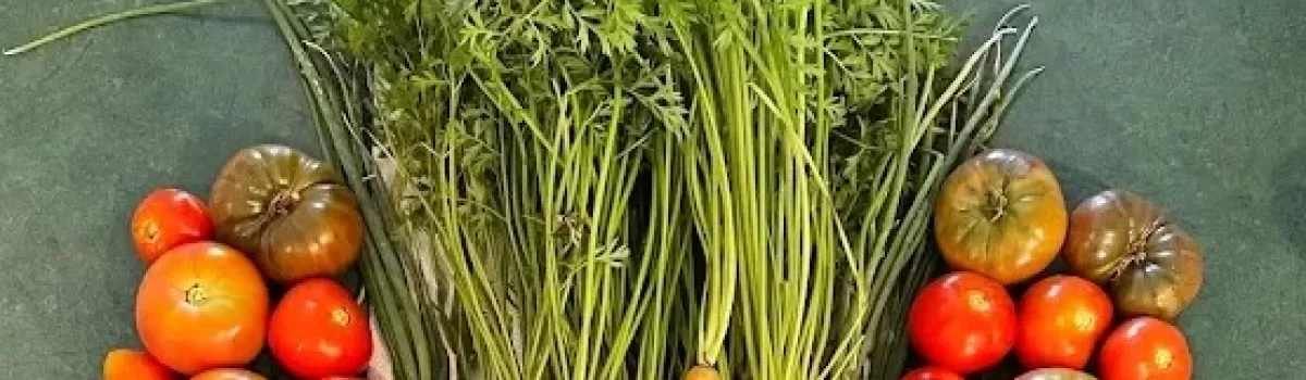 Cassie ~ Massachusetts